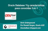 Oracle 11g caracteristicas poco documentadas 3 en 1