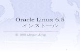 Oracle Linux 6.5 インストール