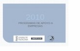 Programas de apoyo a empresas-IMPIVA 2010