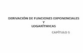 Funciones Logaritmicas Y Exponenciales
