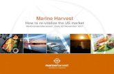 Henrik Heiberg - Marine Harvest -  How to re-vitalize the US market
