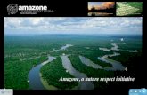 Amazone - Paiche