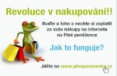 Videonávod - Jak funguje PlnáPeněženka.cz?