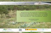 Informe - Seguiment d'espècies al·lòctones invasores al Riu Polop i del Paratge Natural Municipal del Racó Sant Bonaventura - Els Canalons, Alcoi