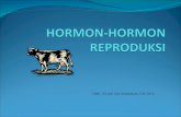 Hormon hormon reproduksi 2010