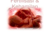 "Fertilisasi dan kehamilan"
