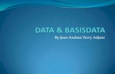 Data & basisdata