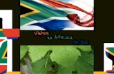 Vinhos na Africa do Sul