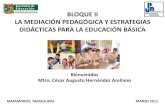 La Mediacion Pedagogica II MEBA