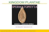 PPT Biologi SMA Kelas X Spermatophyta-fix