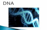 DNA - Βιοτεχνολογία - Γονιδιακη θεραπεια