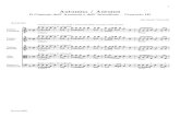 Vivaldi autumn-autumno-full-arrangement
