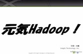 [C12]元気Hadoop! OracleをHadoopで分析しちゃうぜ by Daisuke Hirama