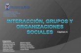 Interacción, grupos y organizaciones sociales