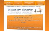Hamster society 1.3  society-official.blogspot.com