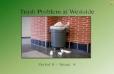 Trash problem at westside