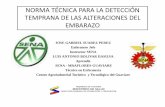 NORMA TECNICA PARA LA DETECCION DE ALTERACIONES EN EL EMBARAZO. 0412 DE  2000