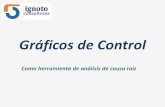 Graficos de Control - Analisis de Causa Raíz.