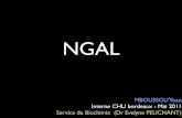 NGAL marquer de l'insuffisance rénale Aigu