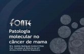 Aula: Mastologia mama patologia molecular