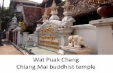 Wat Puak Chang 清邁佛寺 chiang mai buddhist temple