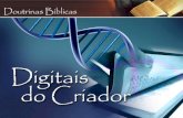 Lição 01 - Digitais do Criador - Série Doutrinas Bíblicas