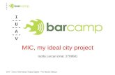 MIC , my ideal city project