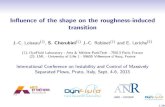ICOMASEF 2013: Influence of the shape on the roughness-induced transition