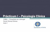 Pràcticum I  - UOC - Psicologia clínica