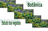 Botânica 2