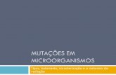 Mutações em microorganismos