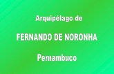 Fernando De Noronha  Pernambuco