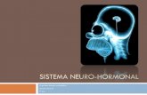(7)   2008-2009 - 9º ano - sistema neuro-hormonal