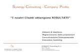 Synergy Consulting Company Profile 08052013