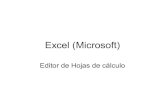 Excel (Microsoft) uso básico