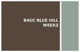 Bacc Blue Hill week 2