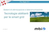 Mbi and Smart Grids
