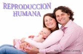 Creacionismo - Reproduccion humana, por Dr Ernesto Contreras