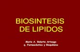 Biosintesis de Lípidos