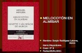 2B7. Melocoton en almiba. Aaron G, Sergio R