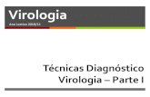 Aula02   tecnicas diagnostico virologia parte 1