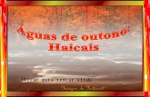 AGUAS DE OUTONO-HAICAIS