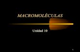 2q 10 macromoleculas