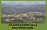 Plantación 2013