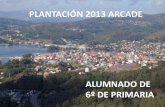 Plantación  primaria2013 arcade