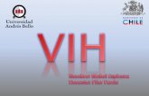 VIH campaña gobierno de Chile (resumen)