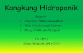Kangkung Hidroponik XIIA3