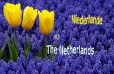 Countries from a to z niederlande