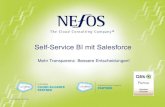 Self-Service BI mit Salesforce. Mehr Transparenz, bessere Entscheidungen.