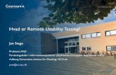 Hvad Er Remote Usability Testing af Jan Stage, AAU